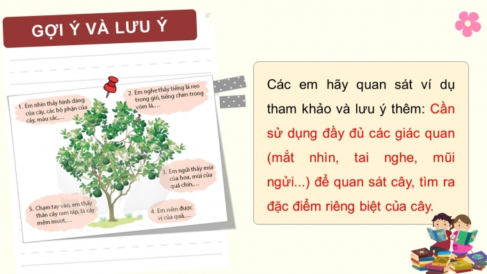Giáo án điện tử Tiếng Việt 4 kết nối Bài 19 Viết: Quan sát cây cối