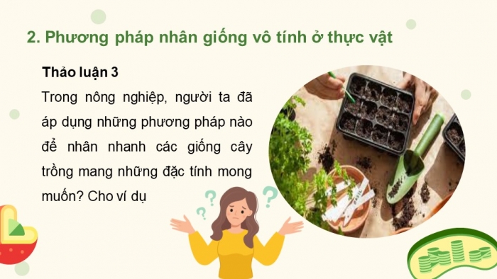 Giáo án điện tử Sinh học 11 chân trời Bài 24: Sinh sản ở thực vật