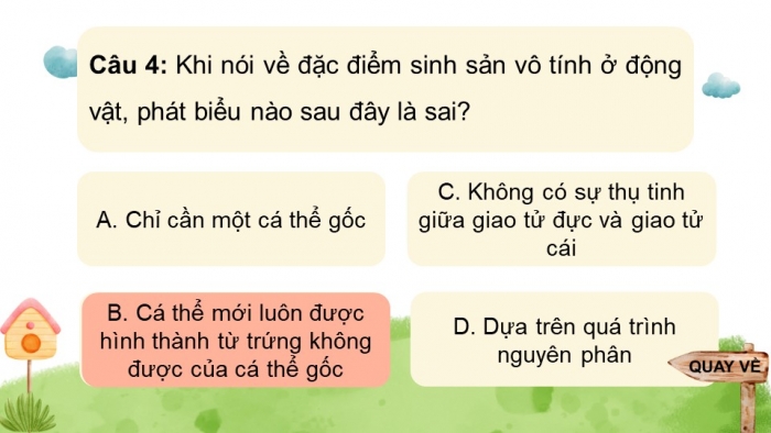 Giáo án điện tử Sinh học 11 chân trời: Ôn tập Chương 4