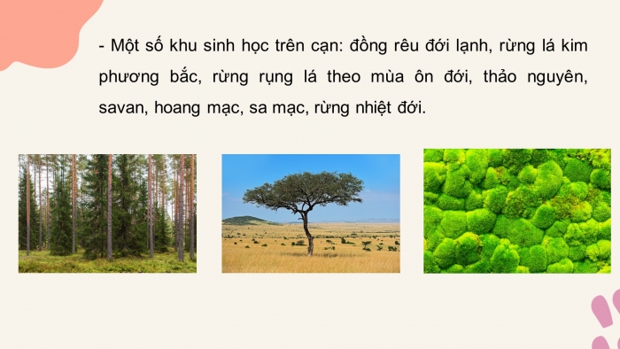 Giáo án điện tử KHTN 8 cánh diều Bài 43: Khái quát về sinh quyển và các khu sinh học