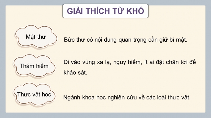 Giáo án điện tử Tiếng Việt 4 chân trời CĐ 7 Bài 5 Đọc: Biển và rừng cây dưới lòng đất