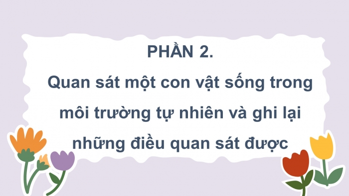 Giáo án điện tử Tiếng Việt 4 chân trời CĐ 7 Bài 8 Viết: Luyện tập quan sát, tìm ý cho bài văn miêu tả con vật