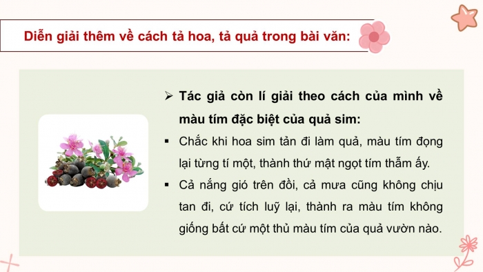 Giáo án điện tử Tiếng Việt 4 kết nối Bài 17 Viết: Tìm hiểu cách viết bài văn miêu tả cây cối