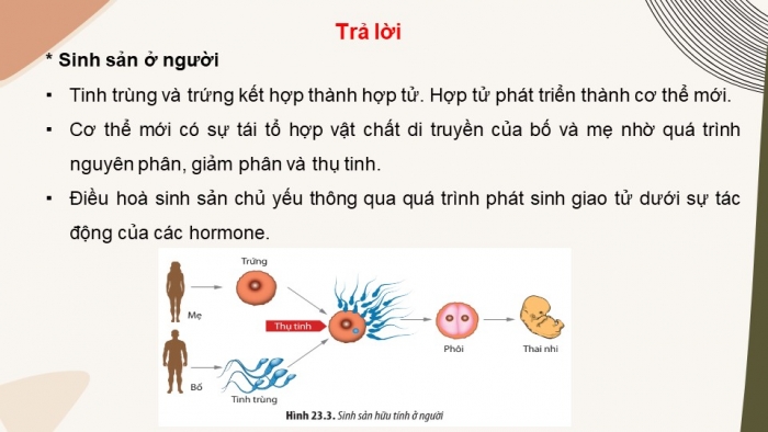 Giáo án điện tử Sinh học 11 chân trời Bài 23: Khái quát về sinh sản ở sinh vật