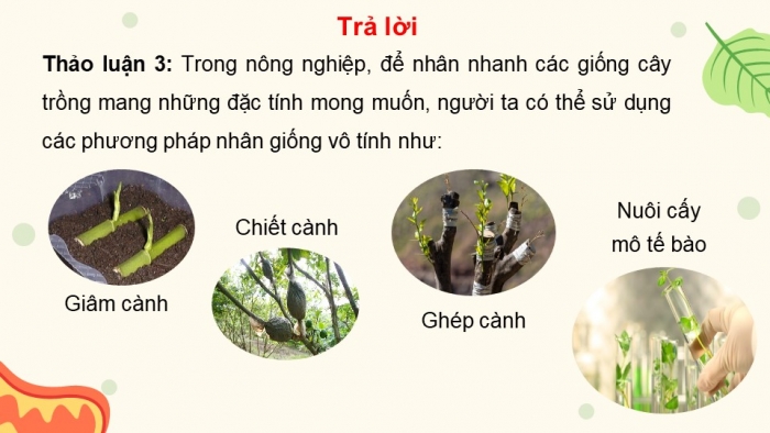 Giáo án điện tử Sinh học 11 chân trời Bài 24: Sinh sản ở thực vật