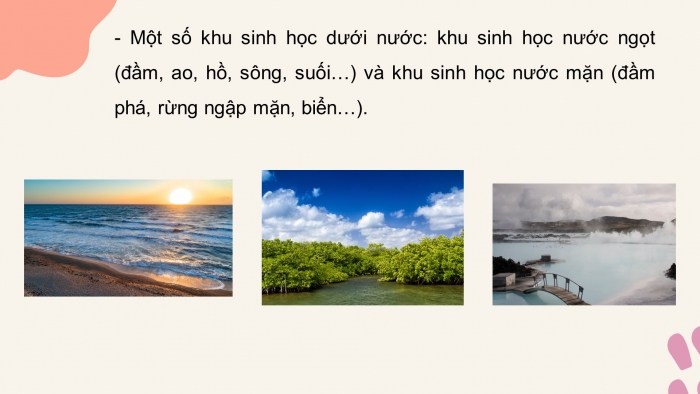 Giáo án điện tử KHTN 8 cánh diều Bài 43: Khái quát về sinh quyển và các khu sinh học