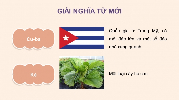 Giáo án điện tử Tiếng Việt 4 chân trời CĐ 7 Bài 3 Đọc: Từ Cu-ba