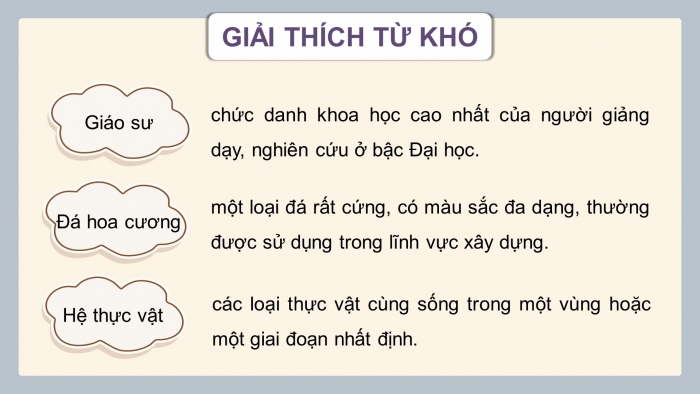 Giáo án điện tử Tiếng Việt 4 chân trời CĐ 7 Bài 5 Đọc: Biển và rừng cây dưới lòng đất