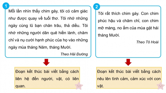 Giáo án điện tử Tiếng Việt 4 chân trời CĐ 7 Bài 6 Viết: Viết đoạn mở bài và đoạn kết bài cho bài văn cho bài văn miêu tả con vật