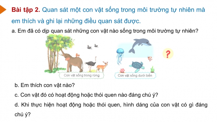 Giáo án điện tử Tiếng Việt 4 chân trời CĐ 7 Bài 8 Viết: Luyện tập quan sát, tìm ý cho bài văn miêu tả con vật