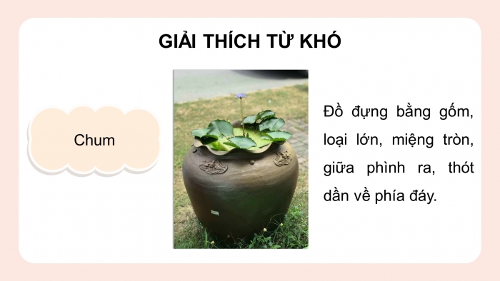 Giáo án điện tử Tiếng Việt 4 chân trời CĐ 8 Bài 3 Đọc: Nàng tiên Ốc