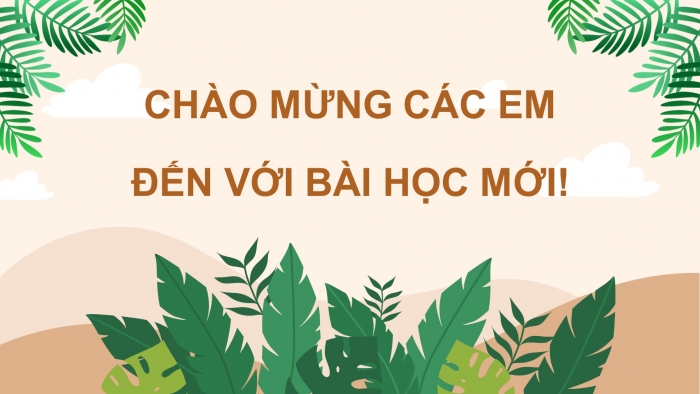 Giáo án điện tử Tiếng Việt 4 chân trời CĐ 7 Bài 7 Đọc: Rừng mơ