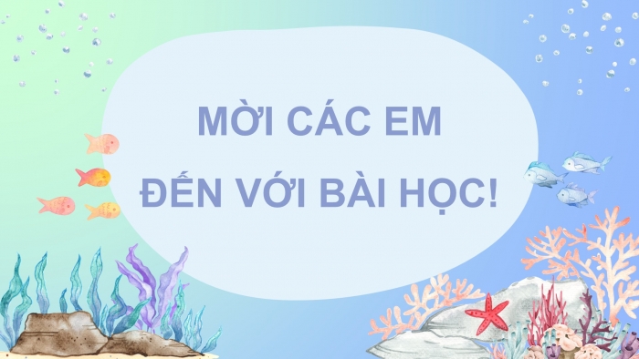 Giáo án điện tử Tiếng Việt 4 chân trời CĐ 8 Bài 1 Đọc: Cá heo ở biển Trường Sa