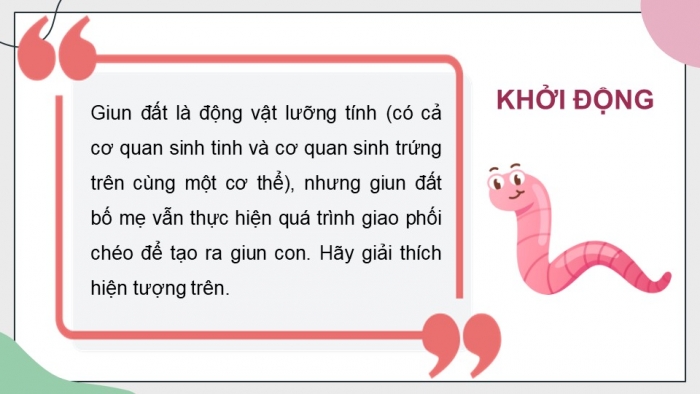 Giáo án điện tử Sinh học 11 chân trời Bài 26: Sinh sản ở động vật