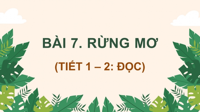 Giáo án điện tử Tiếng Việt 4 chân trời CĐ 7 Bài 7 Đọc: Rừng mơ