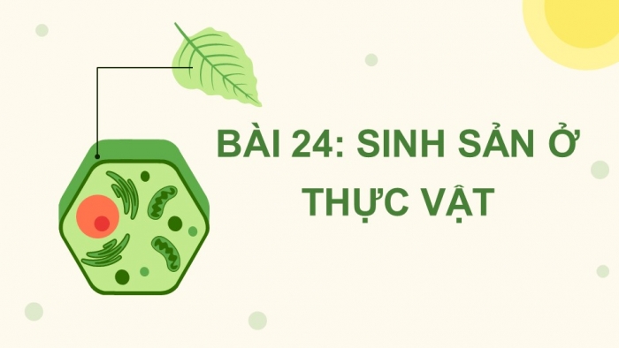 Giáo án điện tử Sinh học 11 chân trời Bài 24: Sinh sản ở thực vật