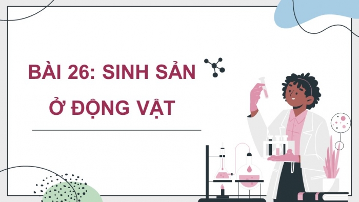 Giáo án điện tử Sinh học 11 chân trời Bài 26: Sinh sản ở động vật