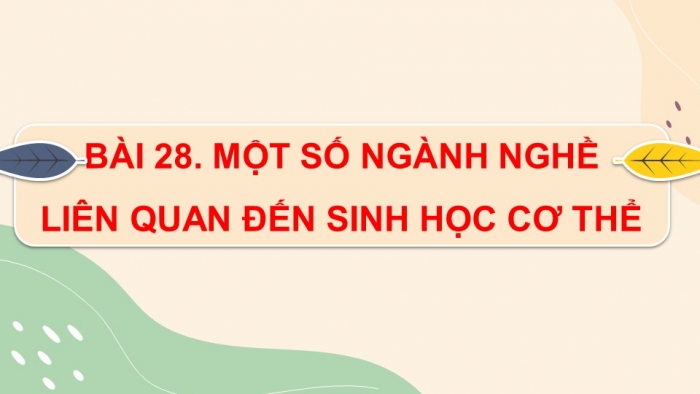 Giáo án điện tử Sinh học 11 chân trời Bài 28: Một số ngành nghề liên quan đến sinh học cơ thể