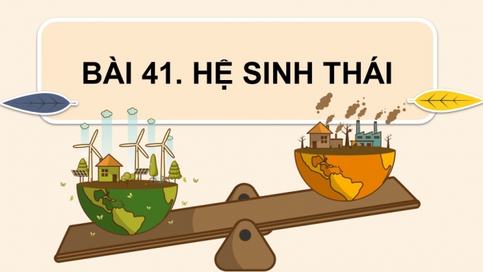 Giáo án điện tử KHTN 8 cánh diều Bài 41: Hệ sinh thái