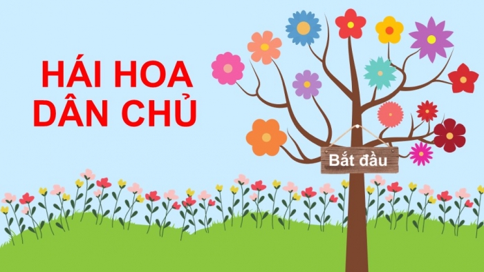 Giáo án điện tử KHTN 8 cánh diều: Bài tập chủ đề 6