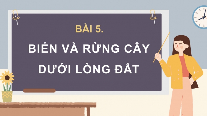 Giáo án điện tử Tiếng Việt 4 chân trời CĐ 7 Bài 5 Đọc: Biển và rừng cây dưới lòng đất