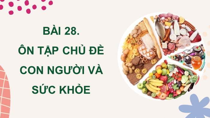 Giáo án điện tử Khoa học 4 kết nối Bài 28: Ôn tập chủ đề con người và sức khỏe