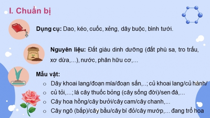 Giáo án điện tử Sinh học 11 chân trời Bài 25: Thực hành: Nhân giống vô tính và thụ phấn ở thực vật