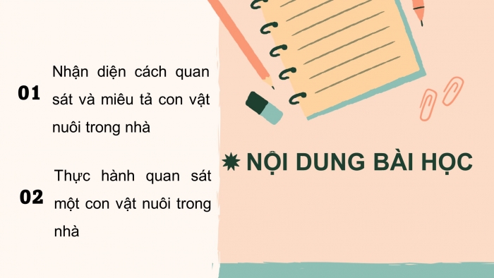 Giáo án điện tử Tiếng Việt 4 chân trời CĐ 7 Bài 2 Viết: Quan sát, tìm ý cho bài văn miêu tả con vật