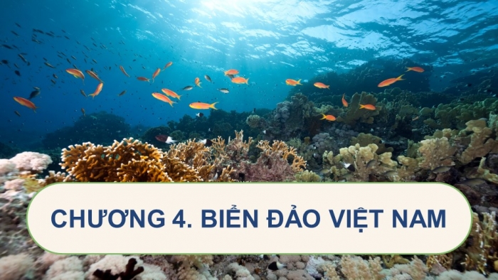 Giáo án điện tử Địa lí 8 kết nối Bài 11: Phạm vi Biển Đông. Vùng biển đảo và đặc điểm tự nhiên vùng biển đảo Việt Nam