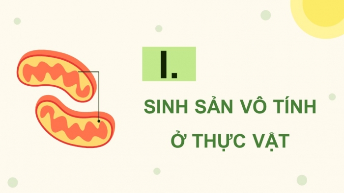 Giáo án điện tử Sinh học 11 chân trời Bài 24: Sinh sản ở thực vật