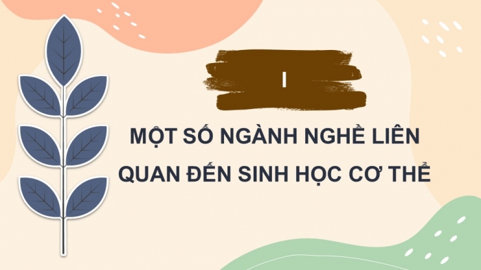 Giáo án điện tử Sinh học 11 chân trời Bài 28: Một số ngành nghề liên quan đến sinh học cơ thể