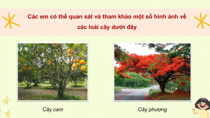 Giáo án điện tử Tiếng Việt 4 kết nối: Ôn tập và Đánh giá cuối năm học (Tiết 5)