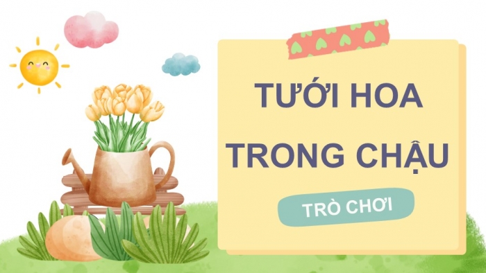 Giáo án điện tử Sinh học 11 chân trời: Ôn tập Chương 4