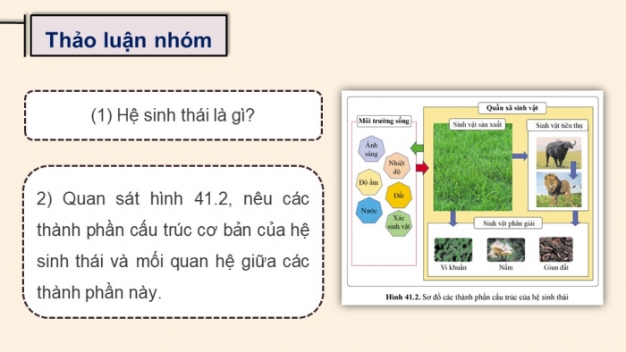 Giáo án điện tử KHTN 8 cánh diều Bài 41: Hệ sinh thái