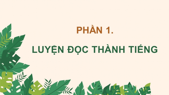 Giáo án điện tử Tiếng Việt 4 chân trời CĐ 7 Bài 7 Đọc: Rừng mơ