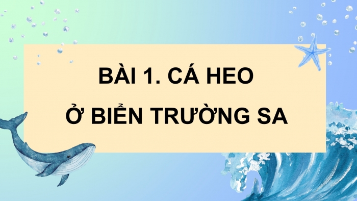 Giáo án điện tử Tiếng Việt 4 chân trời CĐ 8 Bài 1 Đọc: Cá heo ở biển Trường Sa