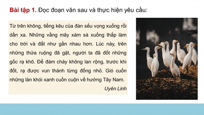 Giáo án điện tử Tiếng Việt 4 chân trời CĐ 8 Bài 4 Luyện từ và câu: Luyện tập về trạng ngữ