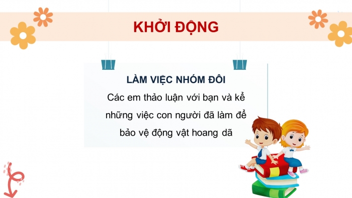 Giáo án điện tử Tiếng Việt 4 kết nối Bài 25 Đọc: Khu bảo tồn động vật hoang dã Ngô-rông-gô-rô