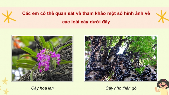 Giáo án điện tử Tiếng Việt 4 kết nối: Ôn tập và Đánh giá cuối năm học (Tiết 5)