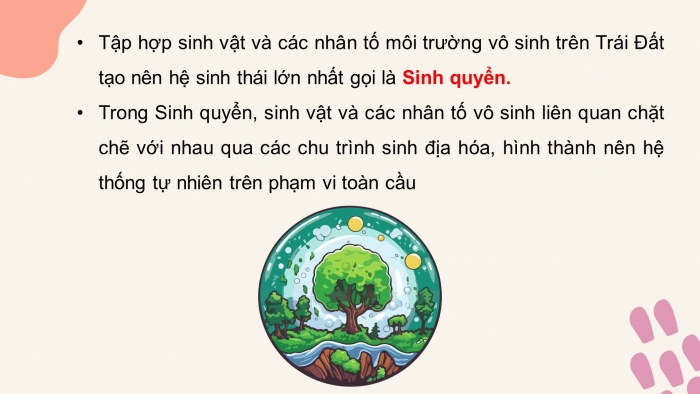 Giáo án điện tử KHTN 8 cánh diều Bài 43: Khái quát về sinh quyển và các khu sinh học