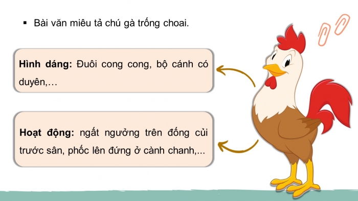Giáo án điện tử Tiếng Việt 4 chân trời CĐ 7 Bài 2 Viết: Quan sát, tìm ý cho bài văn miêu tả con vật