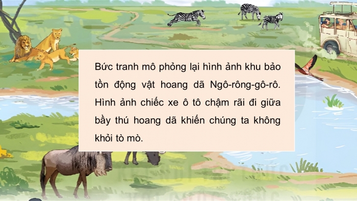 Giáo án điện tử Tiếng Việt 4 kết nối Bài 25 Đọc: Khu bảo tồn động vật hoang dã Ngô-rông-gô-rô