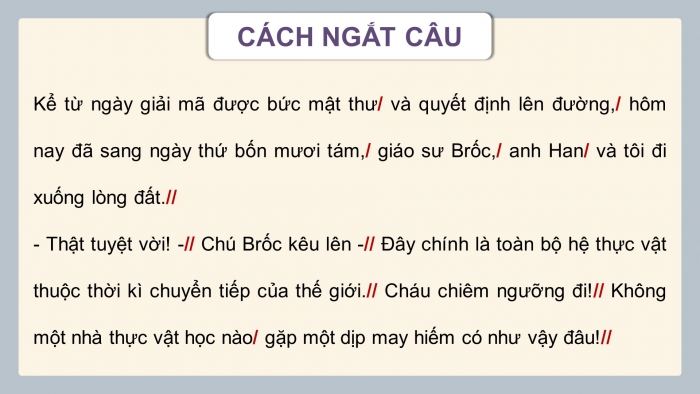 Giáo án điện tử Tiếng Việt 4 chân trời CĐ 7 Bài 5 Đọc: Biển và rừng cây dưới lòng đất