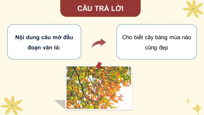 Giáo án điện tử Tiếng Việt 4 kết nối Bài 20 Viết: Luyện viết đoạn văn miêu tả cây cối
