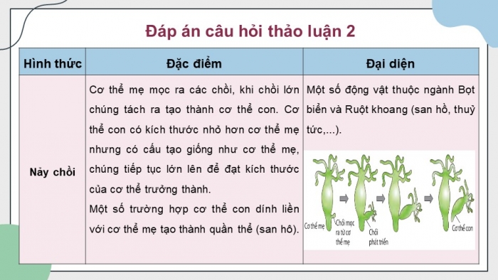 Giáo án điện tử Sinh học 11 chân trời Bài 26: Sinh sản ở động vật