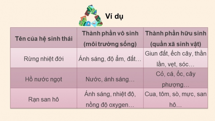 Giáo án điện tử KHTN 8 cánh diều Bài 41: Hệ sinh thái