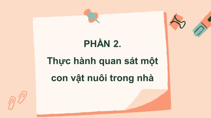 Giáo án điện tử Tiếng Việt 4 chân trời CĐ 7 Bài 2 Viết: Quan sát, tìm ý cho bài văn miêu tả con vật