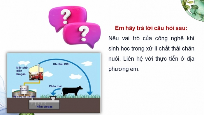 Giáo án điện tử Công nghệ chăn nuôi 11 kết nối Bài 22: Xử lí chất thải chăn nuôi