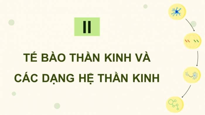 Giáo án điện tử Sinh học 11 chân trời Bài 17: Cảm ứng ở động vật (P1)