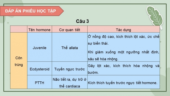 Giáo án điện tử Sinh học 11 cánh diều Bài 19: Các nhân tố ảnh hưởng đến sinh trưởng và phát triển ở động vật